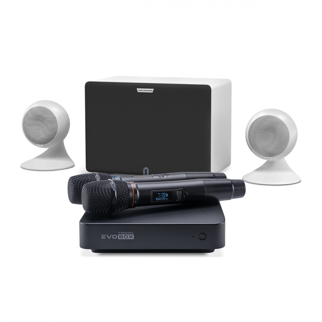 караоке-комплект EVOBOX Classic + EvoSound Sphere 2.1 в Карабаше