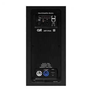 Активная акустическая система AST-312A в Карабаше