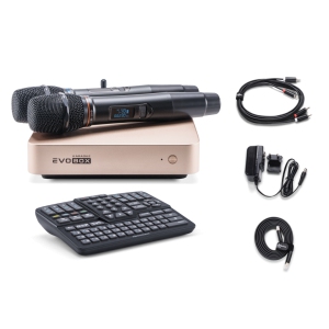 EVOBOX Classic караоке-система для дома в Карабаше