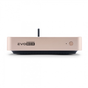 EVOBOX Plus караоке-система для дома в Карабаше
