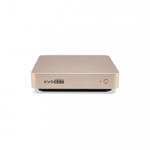 EVOBOX с микрофонами в Карабаше